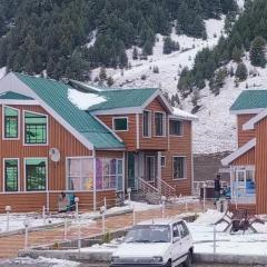 Hotel Twinkle Sonmarg