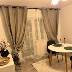 Apartament Mahmudia - Casa Anastasia Murighiol