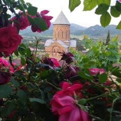 garden and panorama