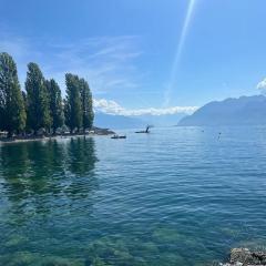 Walking steps from Lake Geneva