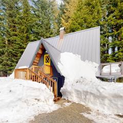 Alpine Modern A-Frame