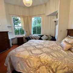 Auckland Grey Lynn Amazing Beautiful Villa