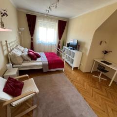 Downtown Hideaway Apartman