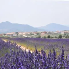 El Calar - Casas Rurales Luis