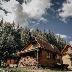 Mountain View Tiny House