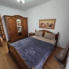 Apartament 2 bedrooms, Botanica