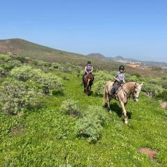 Country Home with horses in Telde