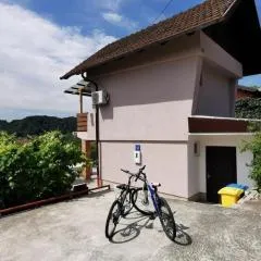 Holiday Home Tuheljske with Mountain View