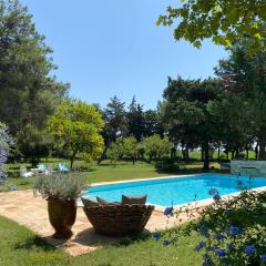 Mas Antonine, Grenouille