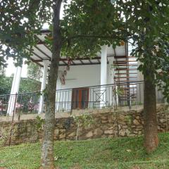 Lavender Hills Home Stay