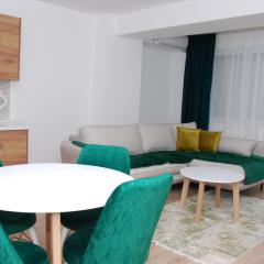 Apartman Delevi