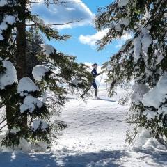 Macesen apartment Rogla