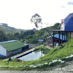 Hotel Glamping Horse