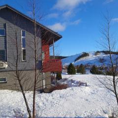 Himos Villa Himalaja