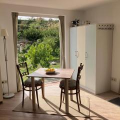 La Peñita - sunny guesthouse with private pool and garden