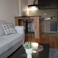 Zemun residence