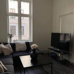 super sentral leilighet, rett ved oslo S