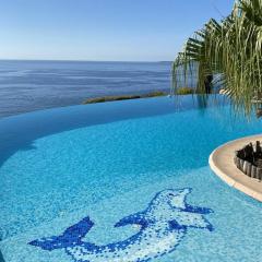 Villa avec piscine à débordement et climatisation, Côte d'Azur - FR-1-768-71