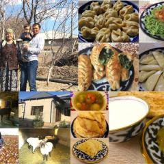 ウズベキスタンの最北西にある村で異文化体験ができる民泊「チョギルマ」