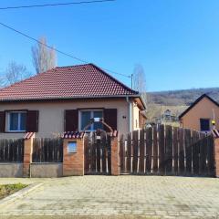 Holiday home in Kereki - Balaton 48110