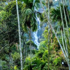 Cozy Homestay Waterfall Road Ella