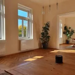Neu renovierte Altbauwohnung im Herzen von Steyr 100qm