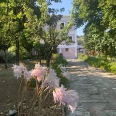 House in Propan