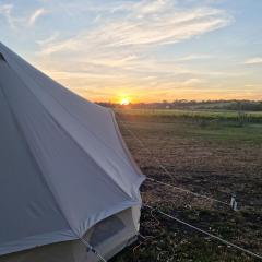 Coastal Glamp at Bellarine Estate winery