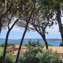 Maison 4 pièces avec piscines à 250m des plages, 1km du centre-ville, Wi-Fi, animaux acceptés - FR-1-780-13