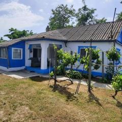 Traditional House in Danube Delta