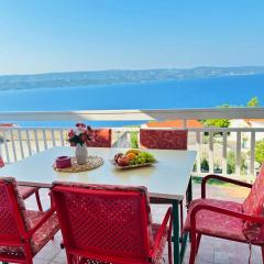 Apartman Milica Vila Roing