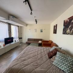 departamento ideal. Gran zona.