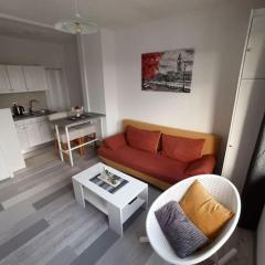 Apartment IVA
