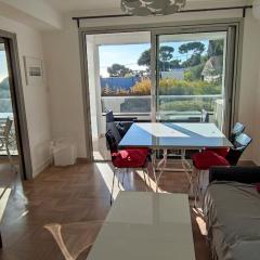 SANARY - T2Bis sur Terrasse