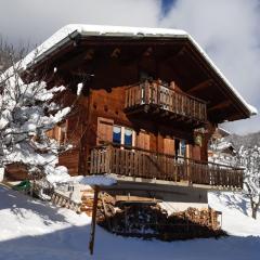 Savoyard nest with Mont Blanc view