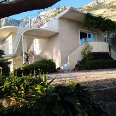 Apartments with parking space Makarska - 22490