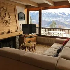 Vue Mont Blanc et toute la chaîne