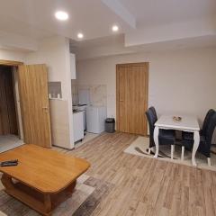 Apartman Zirojević