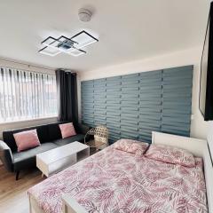 City Studio Apartment Swansea - Includes Free Parking