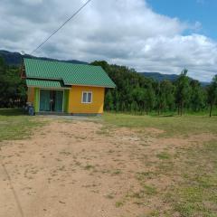 Casa das Palmeiras