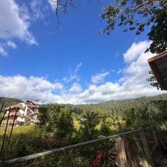 Private Shawn Guest House