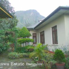 Raxawa Estate Holiday Bungalow