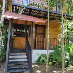 Papaya Wildlife Lodge