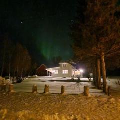 Arctic Cabin Lyngen