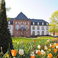 Appartement d'une chambre avec terrasse et wifi a Haguenau