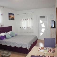 Studio apartman Tristan