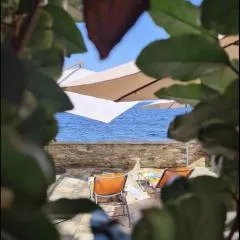 Casa Torra Erbalunga