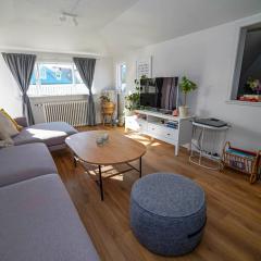 Cozy apartment in the heart of Reykjavík!