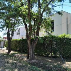 Casa Maipú Mendoza Zona Bodegas