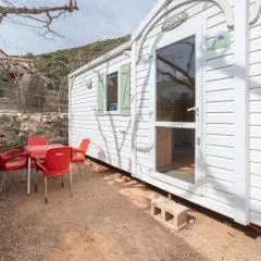 Falaguera Bungalow 3